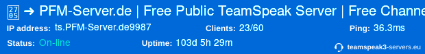 ts.PFM-Server.de:9987 status banner