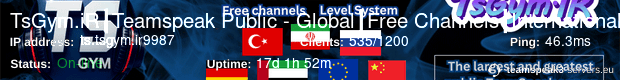 ts.tsgym.ir:9987 status banner